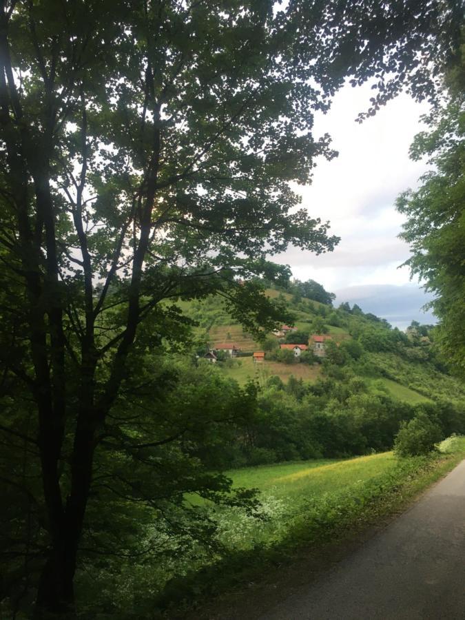 Nicehead Spacious Nest Between Maribor And Celje Loce pri Poljcanah 외부 사진