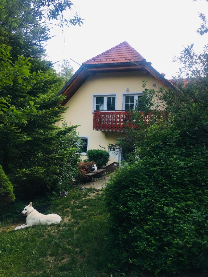 Nicehead Spacious Nest Between Maribor And Celje Loce pri Poljcanah 외부 사진