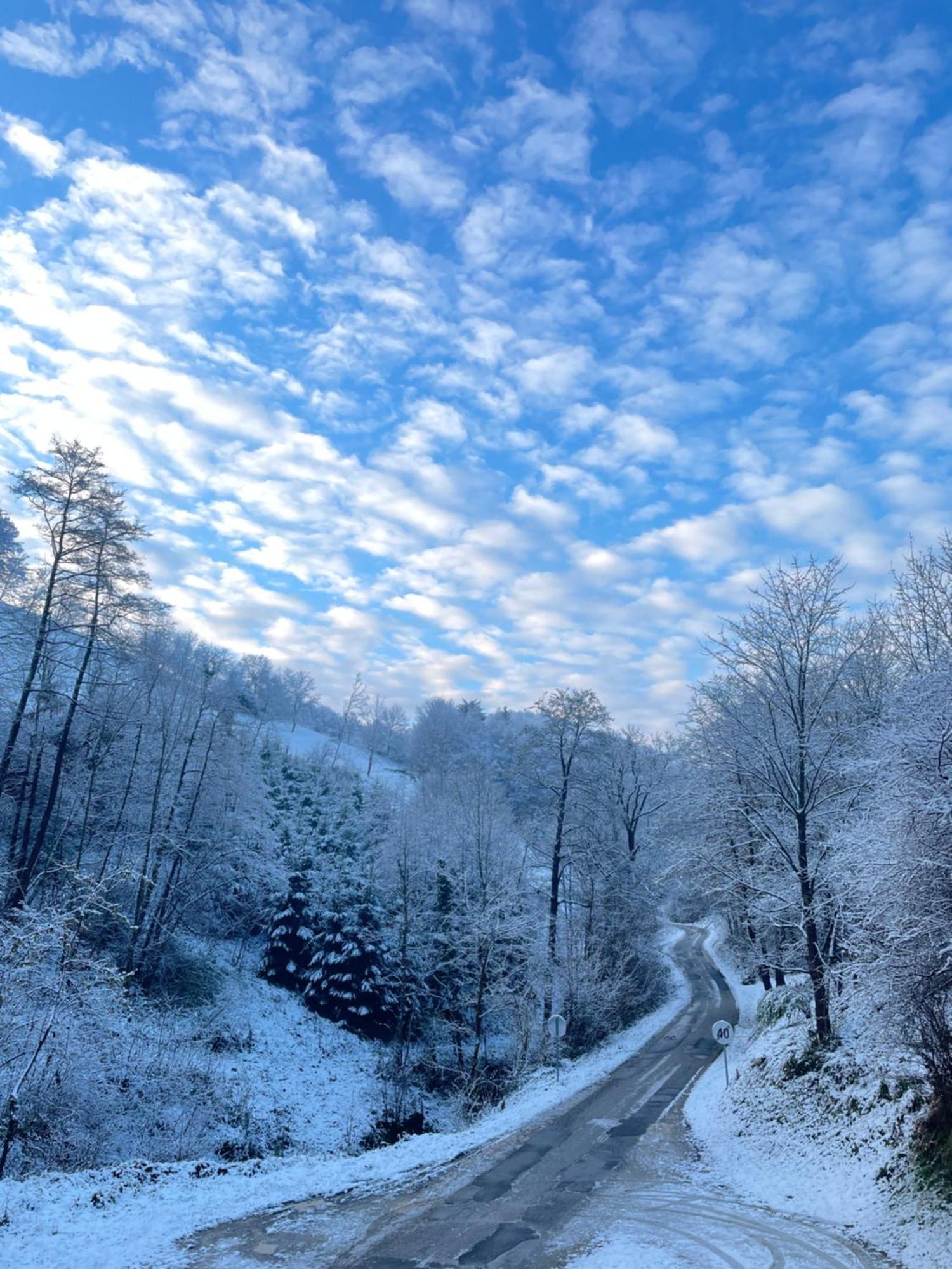 Nicehead Spacious Nest Between Maribor And Celje Loce pri Poljcanah 외부 사진